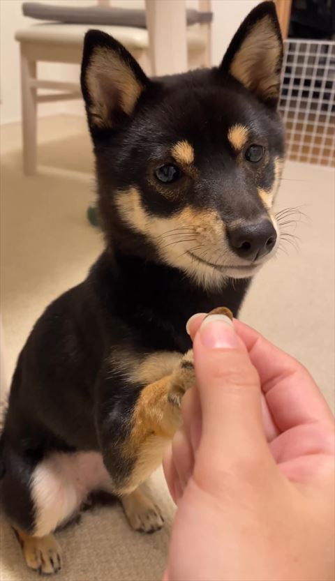 手でおさえながらおやつ見る