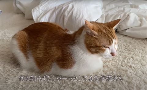 何も知らずにテロップ