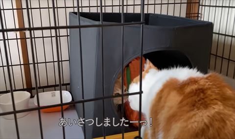 あいさつしましたテロップ