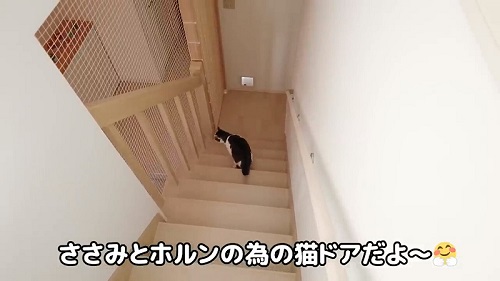 脱走防止扉と猫ドア