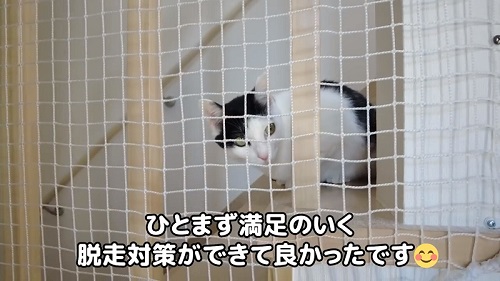 猫のためのリフォーム