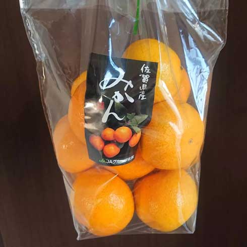 みかん ピカチュウ フルーツ アート キャラフード