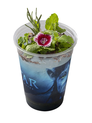 アバター：ウェイ・オブ・ウォーター スペシャルドリンク