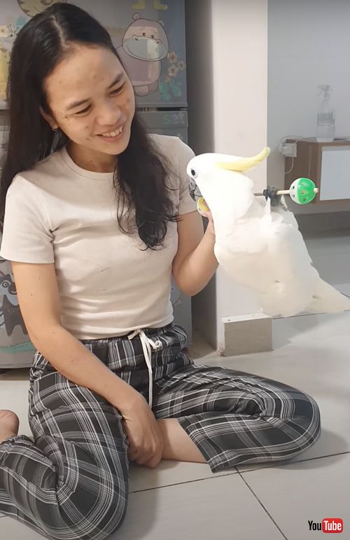 筋トレに励むオウム