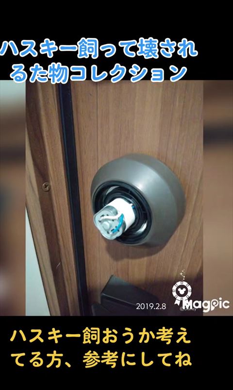 ドアノブの写真