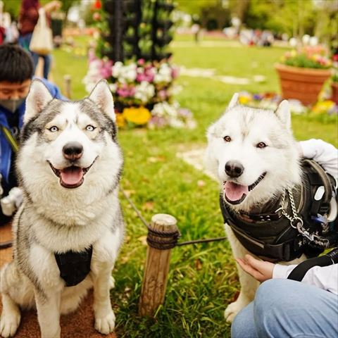 公園で笑顔の2匹