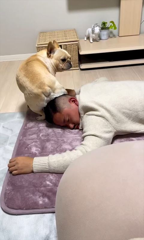 右側振り返るワンコ