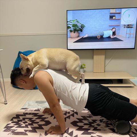 筋トレパパに乗るワンコ