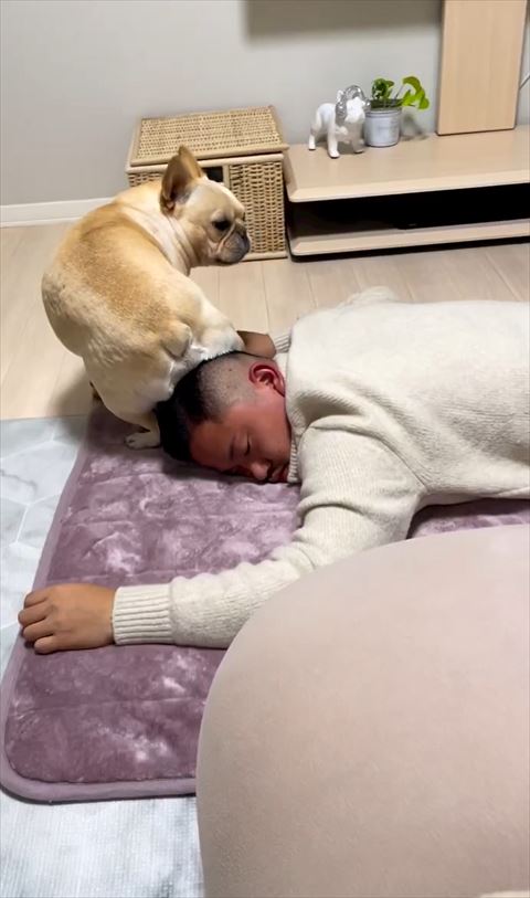 右側少し振り返るワンコ