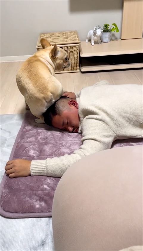 右横見るワンコ