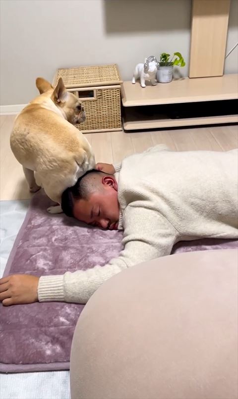 右前方見るワンコ