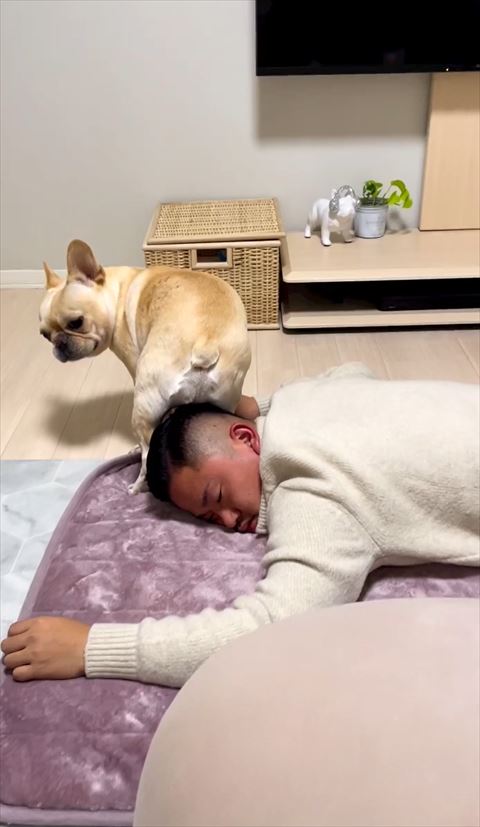 左側振り返るワンコ