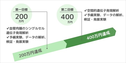 北海道大学、血管肉腫研究のクラウドファンディング