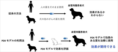 北海道大学、血管肉腫研究のクラウドファンディング