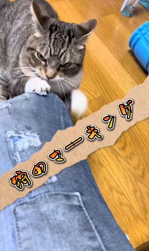 狩りのマーキングテロップ