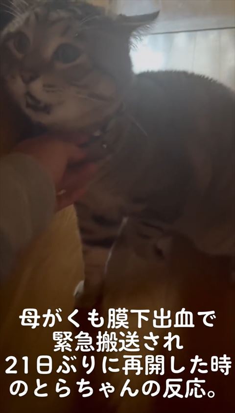 ソファで大きく口あけてる