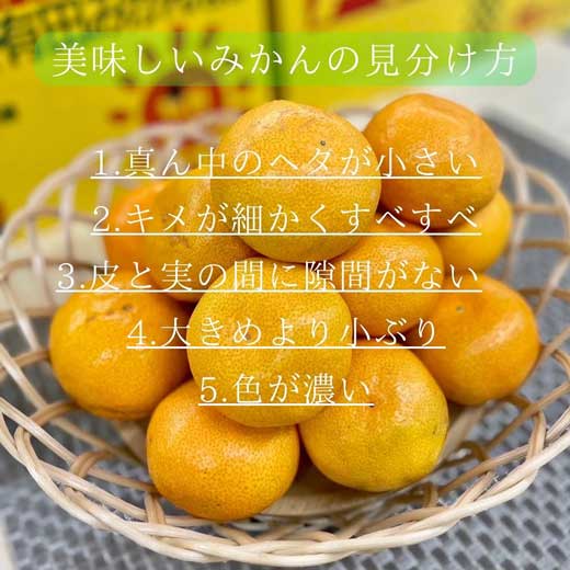 美味しい みかん 見分け方