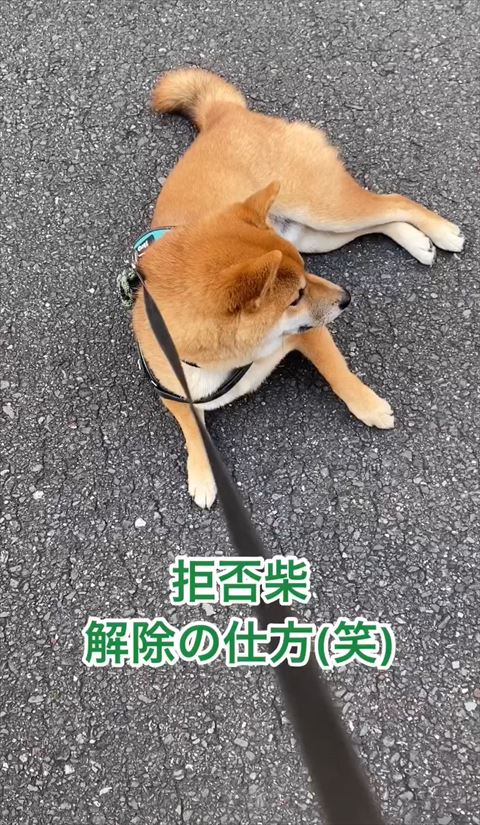 解除の仕方テロップ