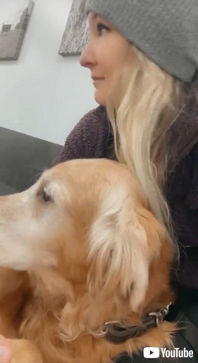 病院嫌いな大型犬