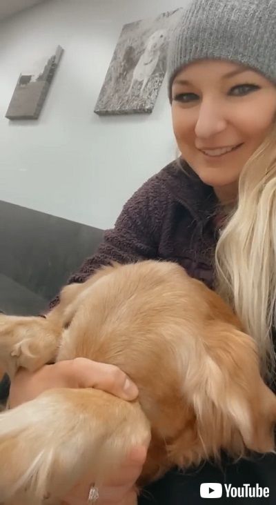 目を覆うワンコ