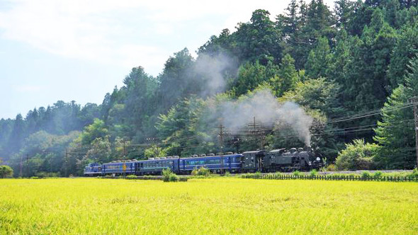 C11形蒸気機関車＋12系・14系客車「SL大樹ふたら」、東武日光線・上今市〜東武日光間