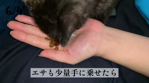 食べる