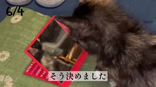 そう決めました