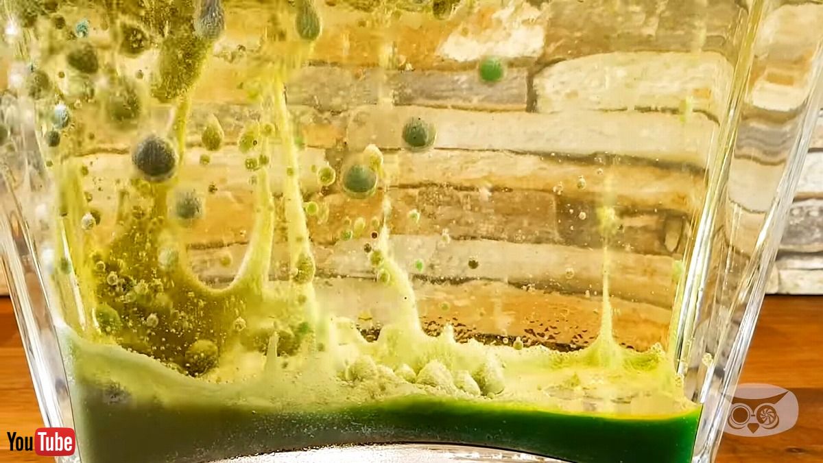 記カラフルに着色した氷を油の中に入れたらどうなる？　実験結果がとってもアートで幻想的