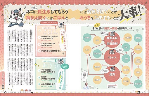 ネコDKデラックス