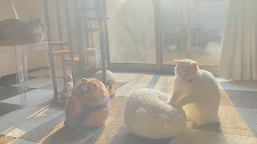 モミモミミルコくん