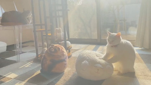 モミモミミルコくん