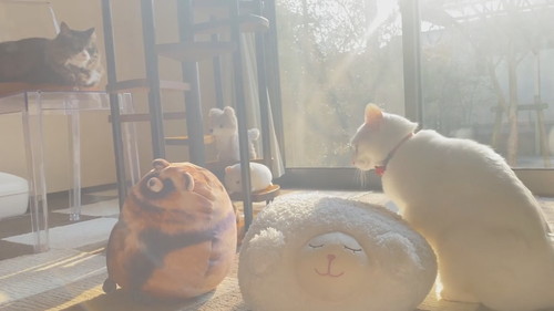 モミモミミルコくん