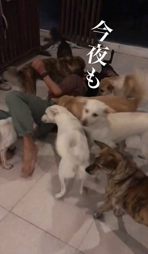 今夜もテロップ