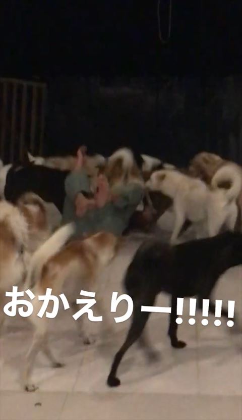 倒れこむパパさん正面