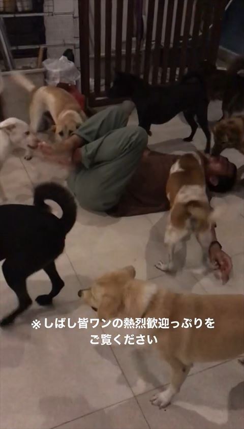 歓迎っぷりをご覧くださいテロップ