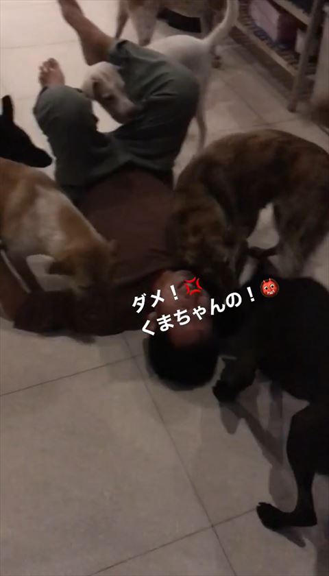 くまちゃんのテロップ