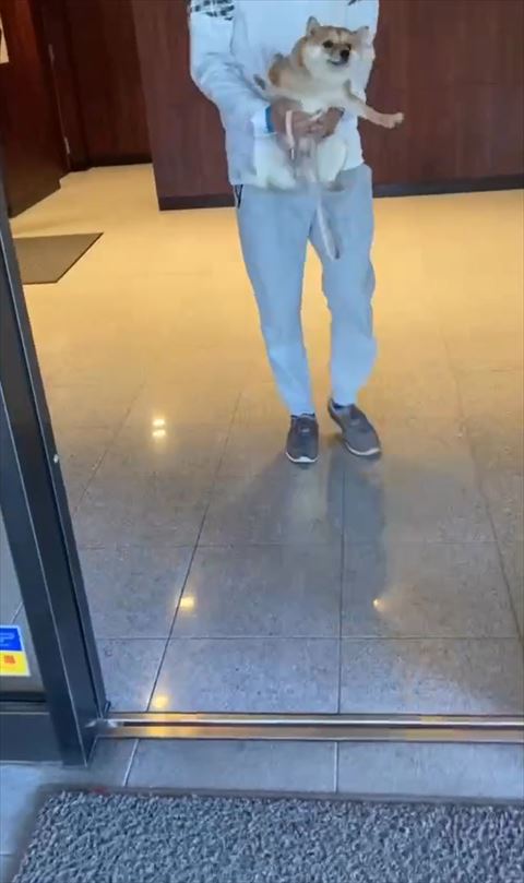 抱っこされながら左前足を下にのばす