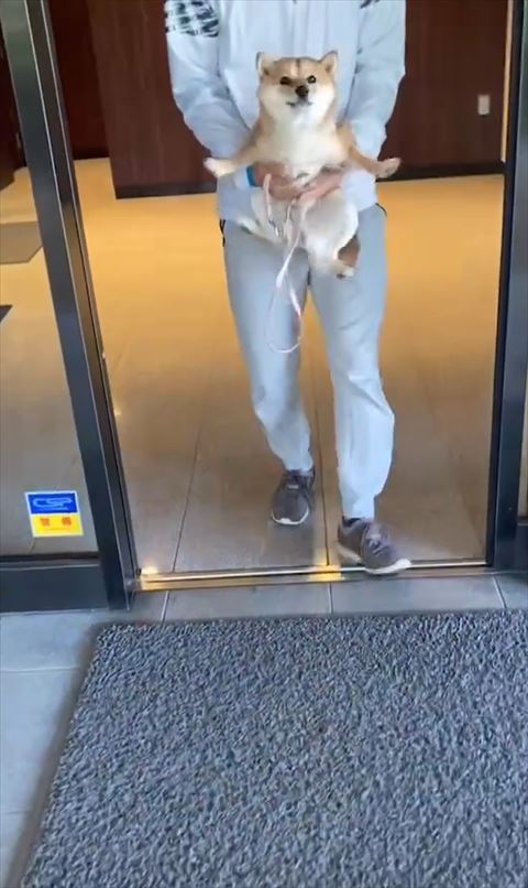 両前足広げてる