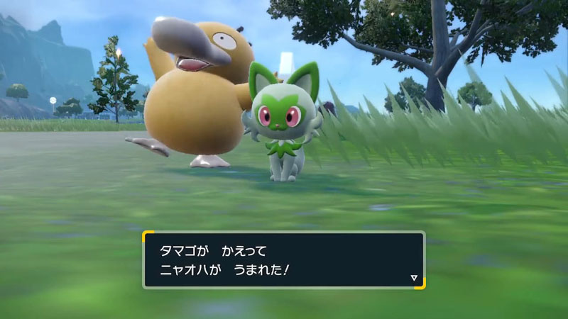 「ポケモンSV」で野生のコダックがタマゴのふ化を祝福!?　偶然起きた感動のシーンが最高にかわいいと話題