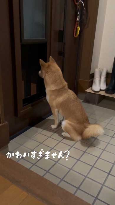 オススメ