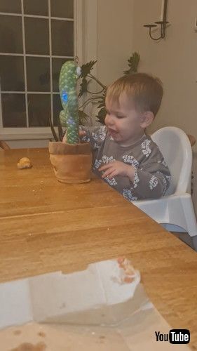 「Baby Screams at Dancing Cactus || ViralHog」