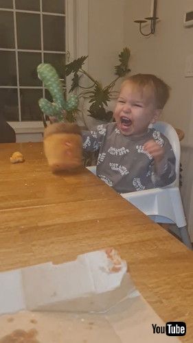 「Baby Screams at Dancing Cactus || ViralHog」