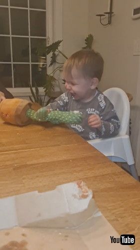 「Baby Screams at Dancing Cactus || ViralHog」