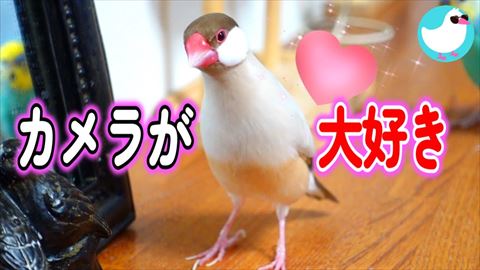 オススメ