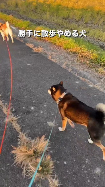 背中をとらえた