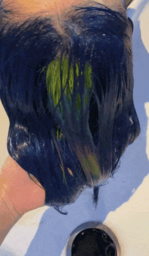 ヘアカラー 髪 オーロラ カラフル レインボー