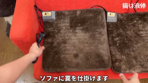 ホットカーペットであたたまる猫たち