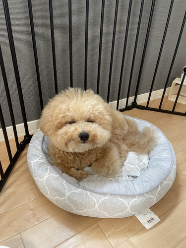 微笑するポテチくん