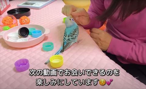 飼い主さんの指を見てる