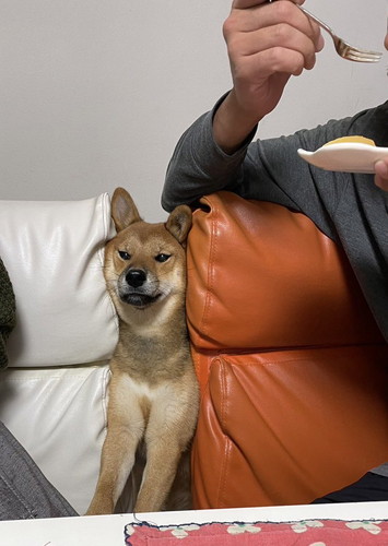 アップルパイを食べたいお嬢ちゃん